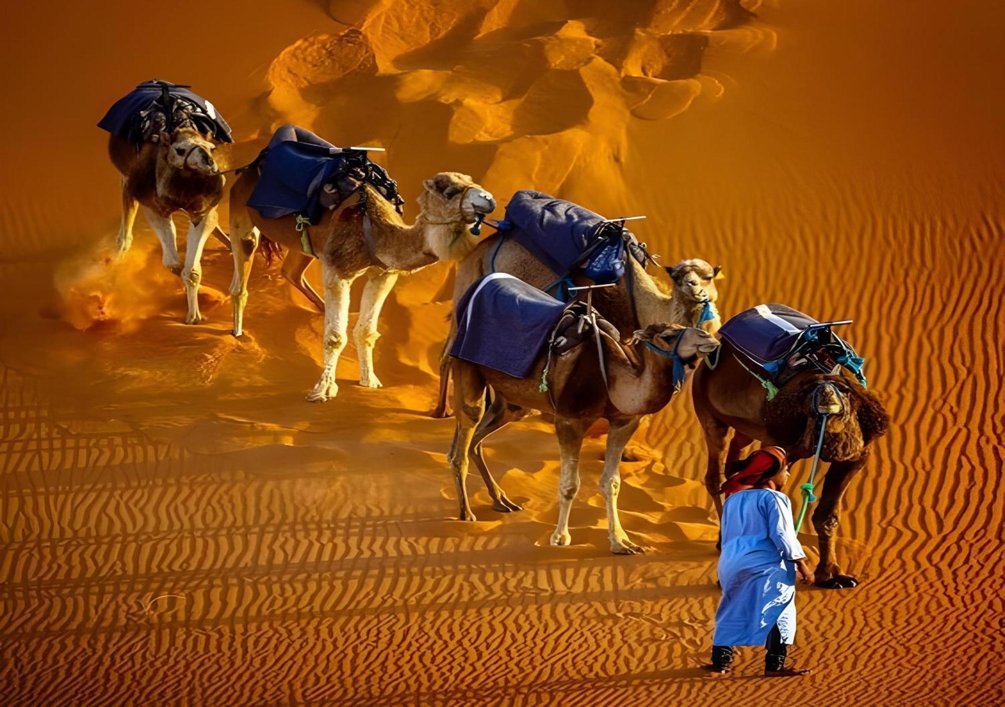 Merzouga Lovely Luxury Camp Extérieur photo